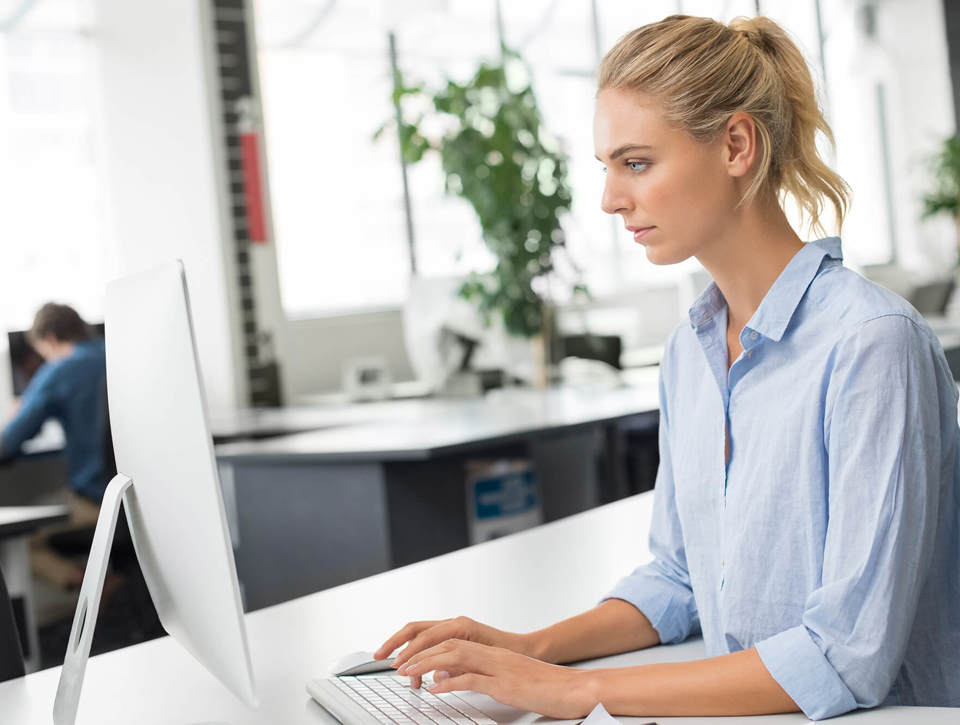 Business Woman Using Computer PN64FN4